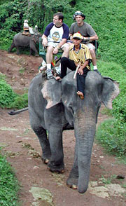 Elephant ride in Thailand