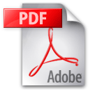 PDF icon